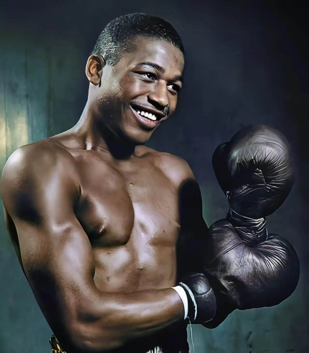 alt, 今年, img alt, 今年, img